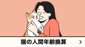 猫の人間年齢換算