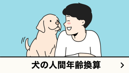 犬の年齢↔人間年齢換算ツール｜犬種・平均寿命・誕生年月から計算