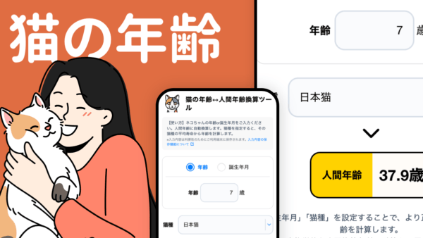 猫の年齢