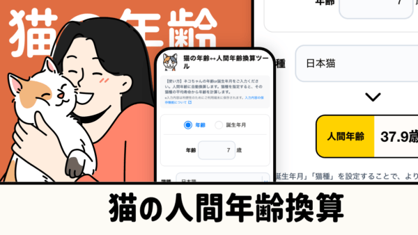 猫の人間年齢換算